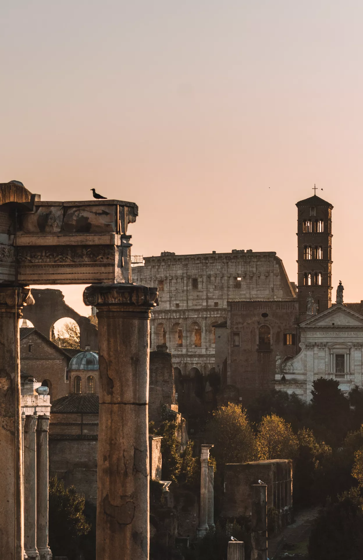 Evening shot of the Forum in Rome