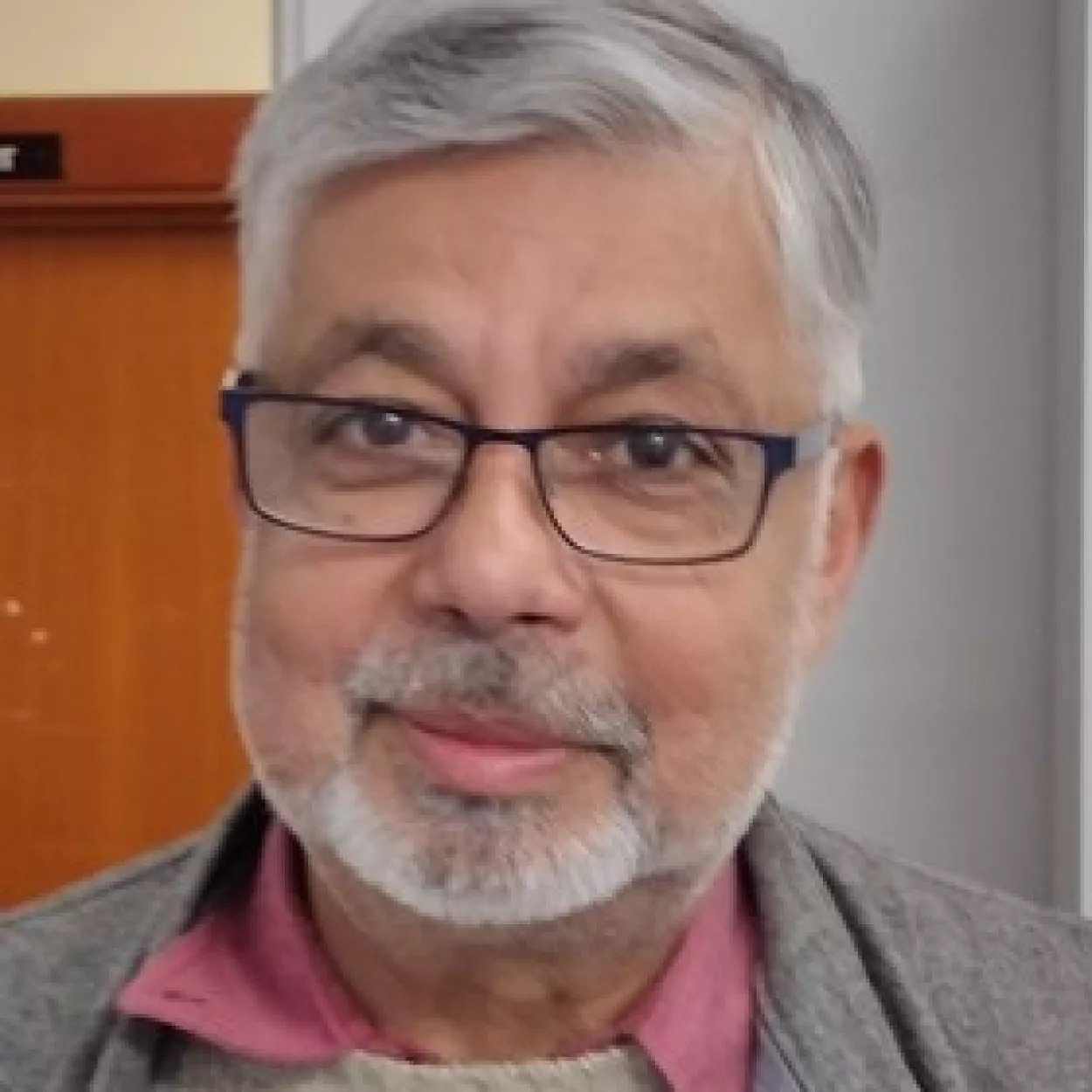 Headshot of professor Monojit Chatterji