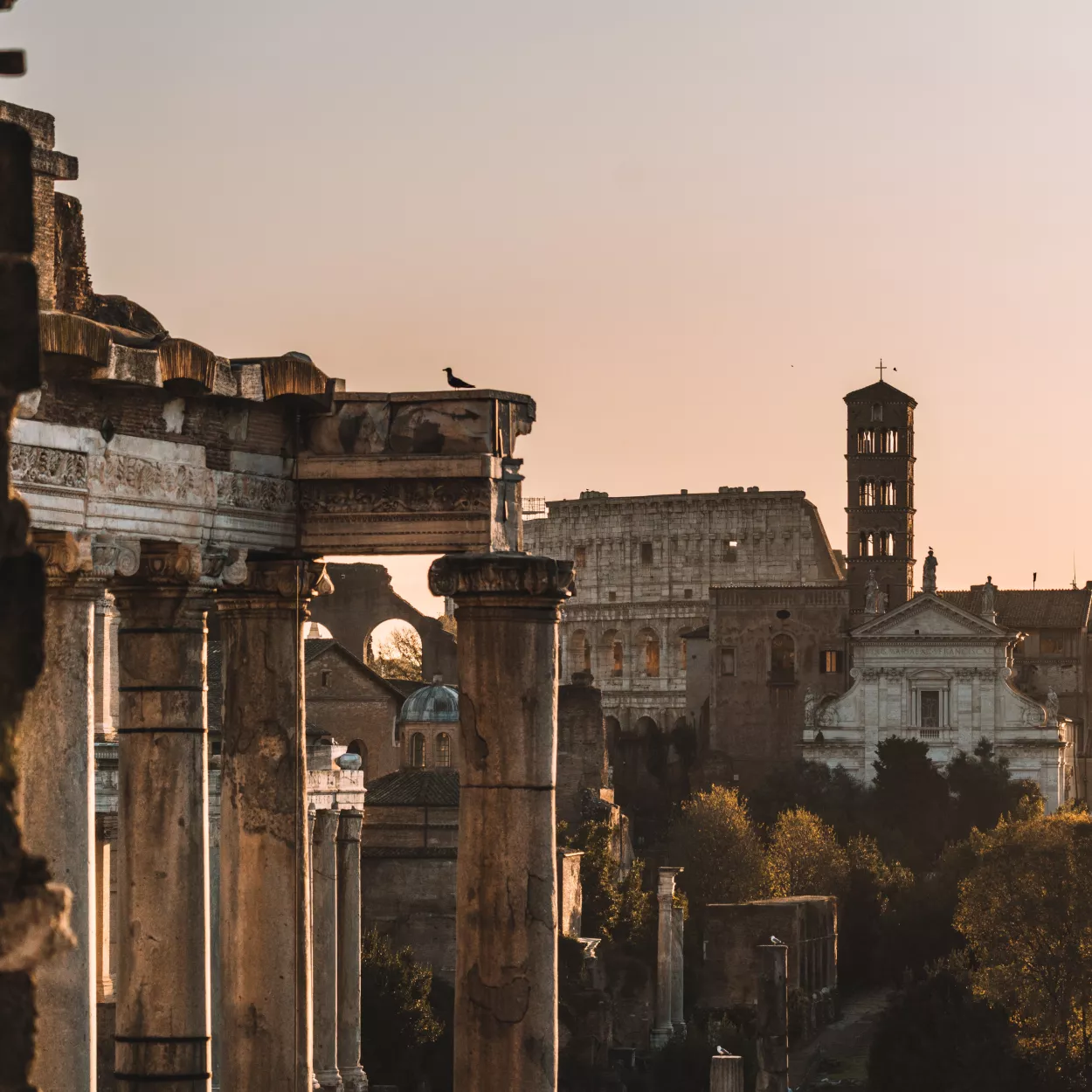Evening shot of the Forum in Rome