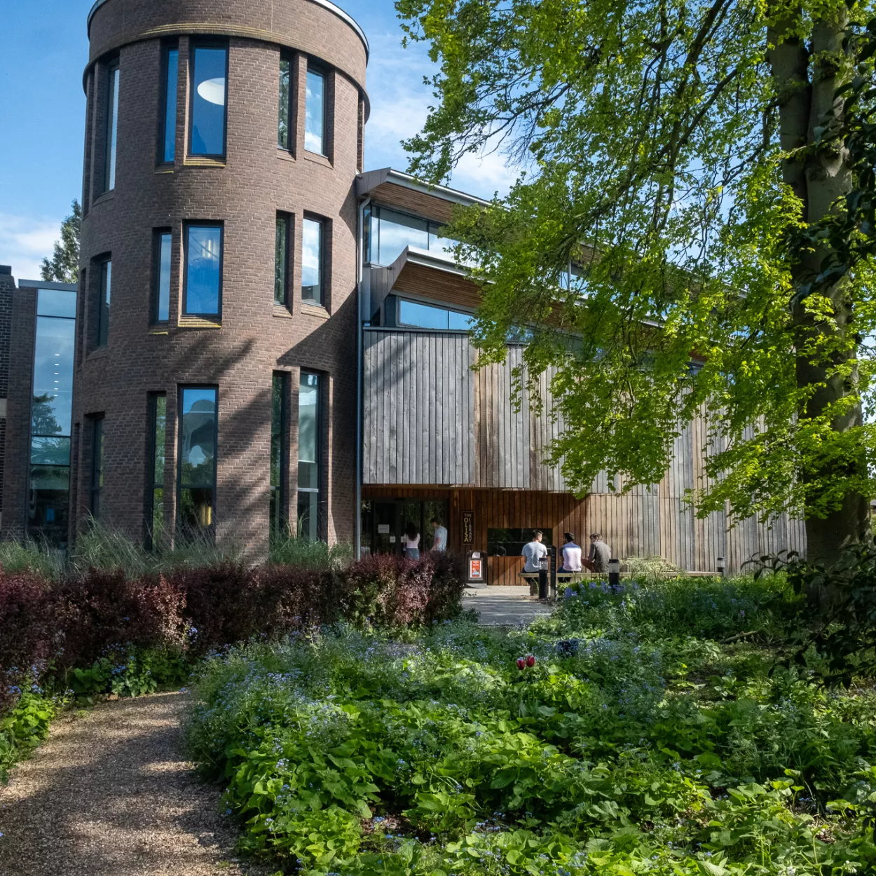 The Olisa library in the sunshine